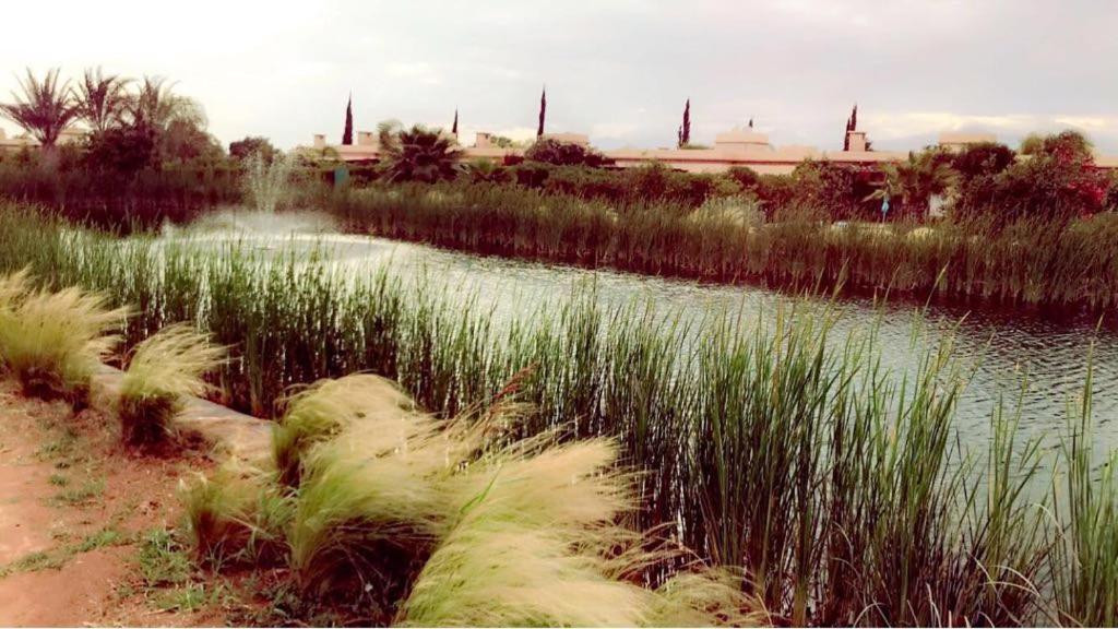 Villa 186 Agadir Islane المظهر الخارجي الصورة